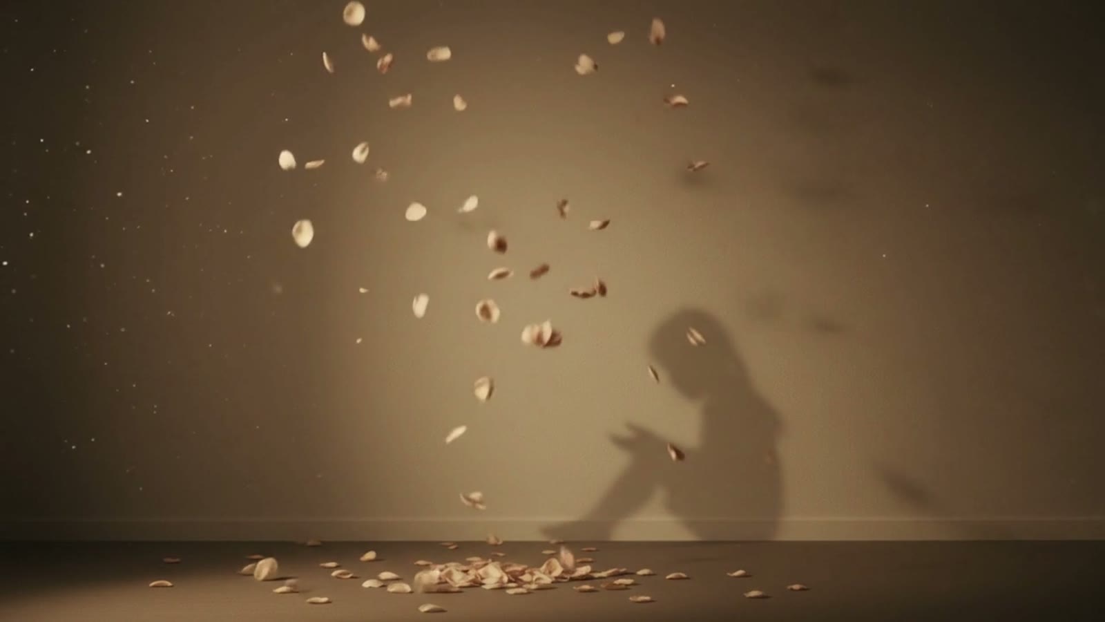 Tatimost — I Have You Now: the shadow of a small girl on a warm wall as petals fall.